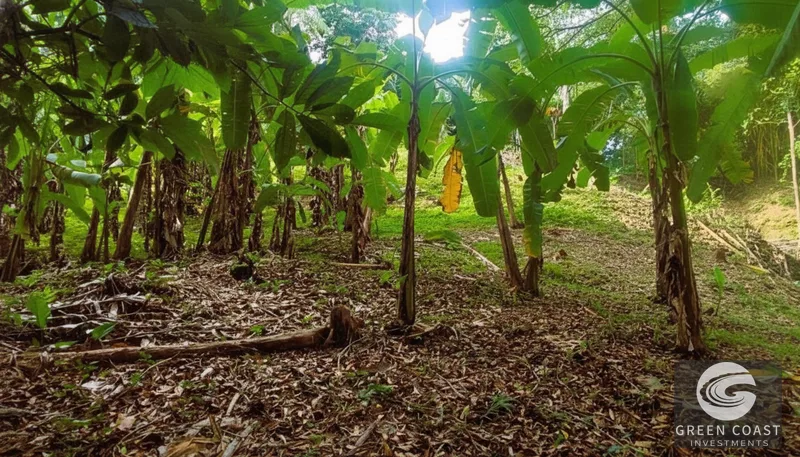 Affordable 900m² Jungle Lot in Pavones | Build Your Tropical Retreat — view 10, Pavones, Golfito, Costa Rica