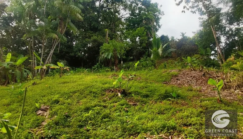 Affordable 900m² Jungle Lot in Pavones | Build Your Tropical Retreat — view 11, Pavones, Golfito, Costa Rica