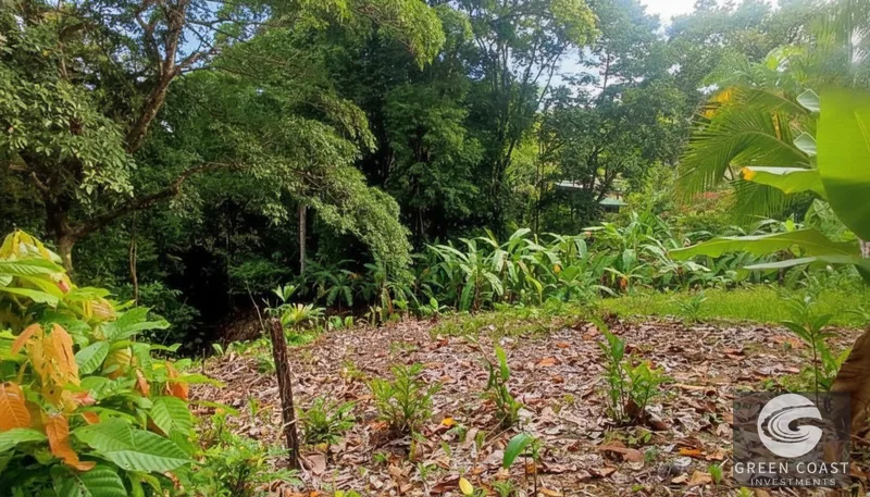 Affordable 900m² Jungle Lot in Pavones | Build Your Tropical Retreat — view 12, Pavones, Golfito, Costa Rica