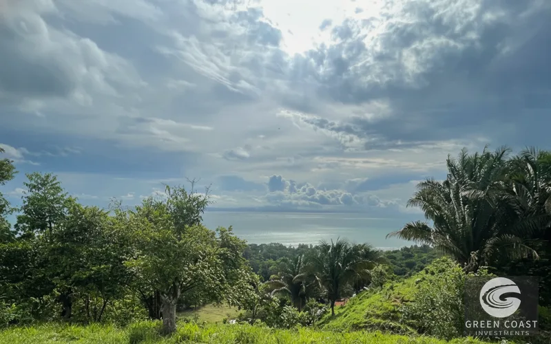 Affordable 900m² Jungle Lot in Pavones | Build Your Tropical Retreat — view 14, Pavones, Golfito, Costa Rica