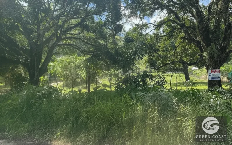 Affordable 900m² Jungle Lot in Pavones | Build Your Tropical Retreat — view 15, Pavones, Golfito, Costa Rica