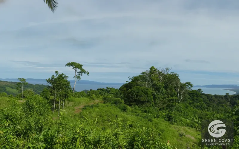 Pavones 4-Unit Surf Retreat with Pool: Walk to World-Class Waves & Proven Airbnb Income — view 14, Pavones, Golfito, Costa Rica