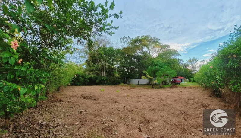 Prime 633m² Beachside Lot Near Pavones Surf – Walk to the Sand for Under $90K — view 3, Pavones, Golfito, Costa Rica