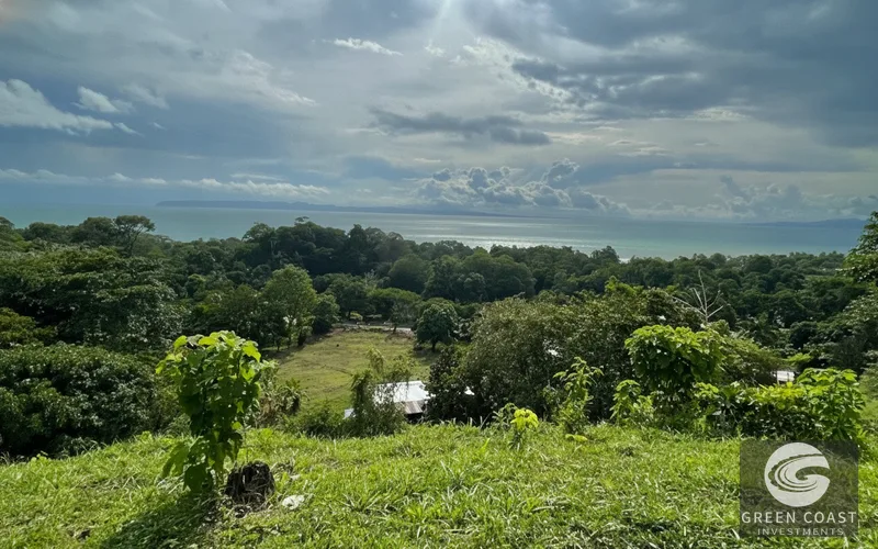 Prime 633m² Beachside Lot Near Pavones Surf – Walk to the Sand for Under $90K — view 10, Pavones, Golfito, Costa Rica