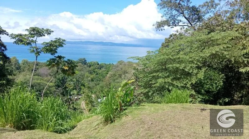 Pavones Ocean-View Development Lot: 1.8 Acres Near World-Class Surf — view 1, Pavones, Golfito, Costa Rica