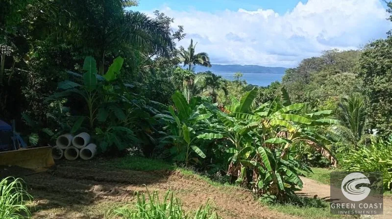 Pavones Ocean-View Development Lot: 1.8 Acres Near World-Class Surf — view 3, Pavones, Golfito, Costa Rica