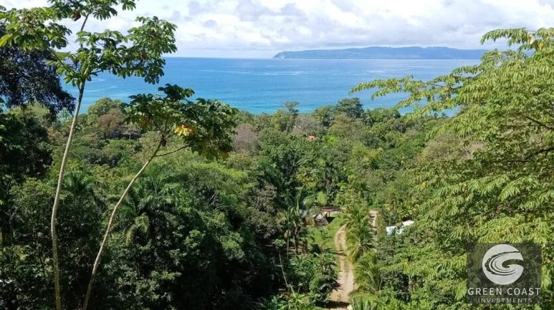 Pavones Ocean-View Development Lot: 1.8 Acres Near World-Class Surf — view 5, Pavones, Golfito, Costa Rica