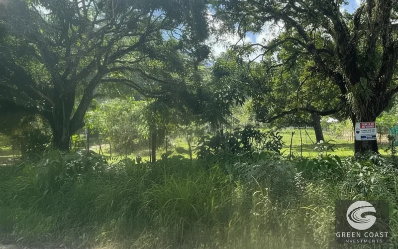 Pavones Ocean-View Development Lot: 1.8 Acres Near World-Class Surf — view 9, Pavones, Golfito, Costa Rica