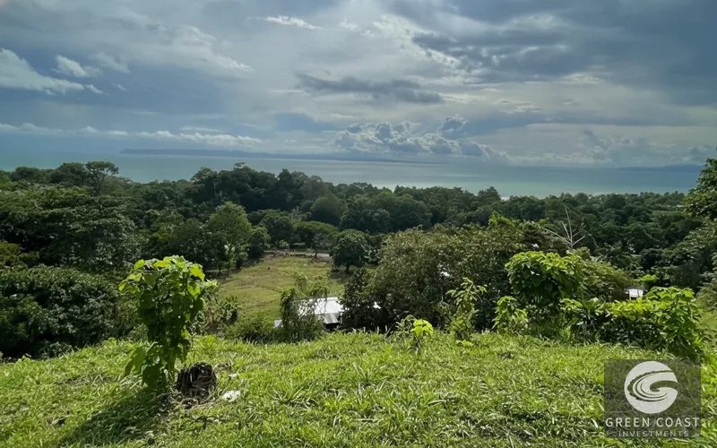 Pavones Ocean-View Development Lot: 1.8 Acres Near World-Class Surf — view 10, Pavones, Golfito, Costa Rica