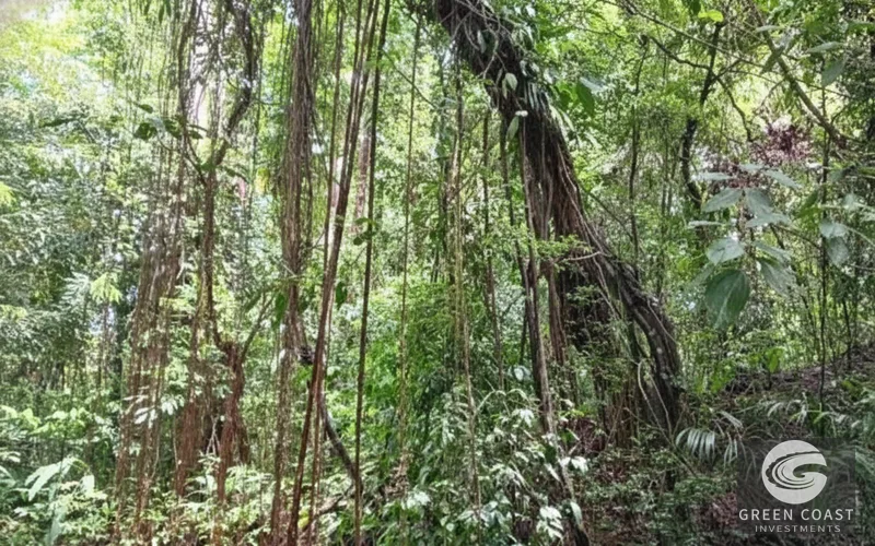 Pavones Ocean-View Development Lot: 1.8 Acres Near World-Class Surf — view 11, Pavones, Golfito, Costa Rica