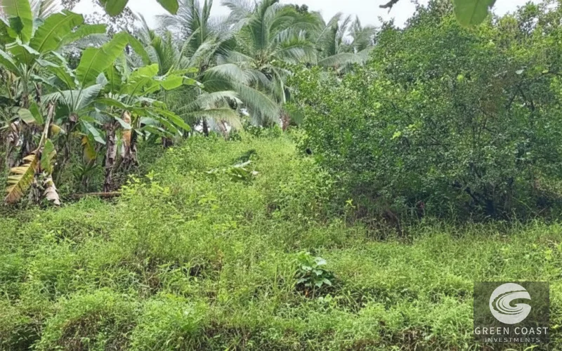 Pavones Ocean-View Development Lot: 1.8 Acres Near World-Class Surf — view 14, Pavones, Golfito, Costa Rica