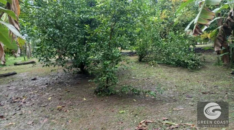 Flat Building Lot Near Pavones Surf | 15 Mins to Beach with Utilities — view 1, Pavones, Golfito, Costa Rica