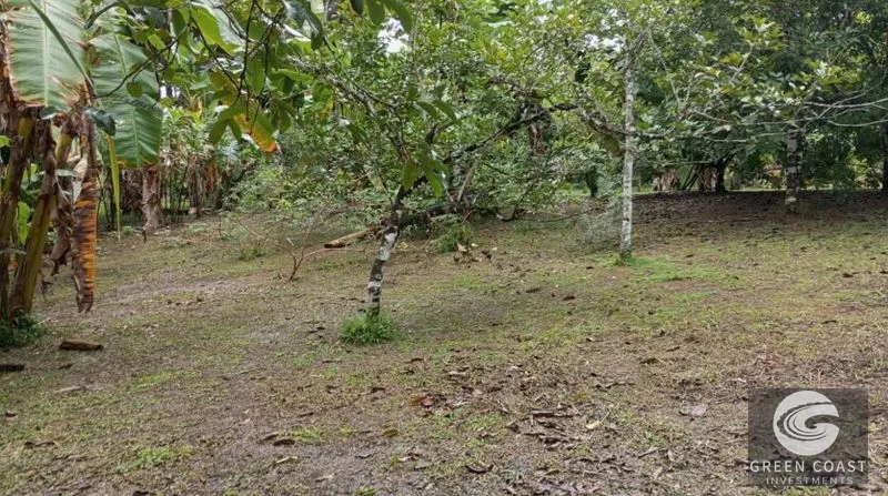 Flat Building Lot Near Pavones Surf | 15 Mins to Beach with Utilities — view 2, Pavones, Golfito, Costa Rica