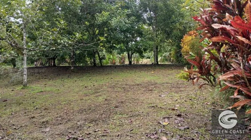 Flat Building Lot Near Pavones Surf | 15 Mins to Beach with Utilities — view 3, Pavones, Golfito, Costa Rica