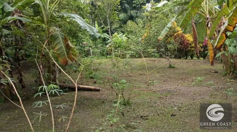 Flat Building Lot Near Pavones Surf | 15 Mins to Beach with Utilities — view 4, Pavones, Golfito, Costa Rica