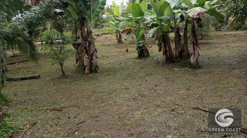 Flat Building Lot Near Pavones Surf | 15 Mins to Beach with Utilities — view 5, Pavones, Golfito, Costa Rica