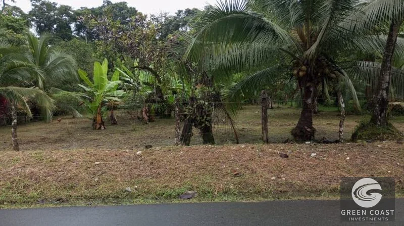 Flat Building Lot Near Pavones Surf | 15 Mins to Beach with Utilities — view 6, Pavones, Golfito, Costa Rica