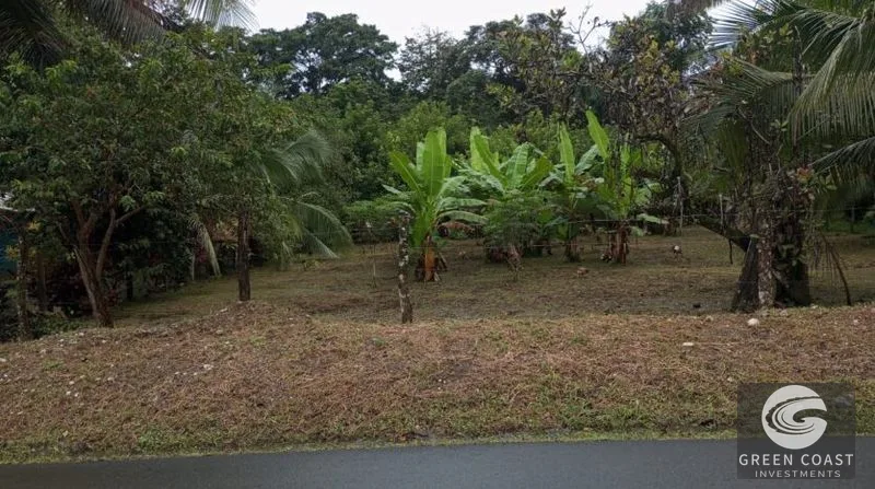 Flat Building Lot Near Pavones Surf | 15 Mins to Beach with Utilities — view 7, Pavones, Golfito, Costa Rica