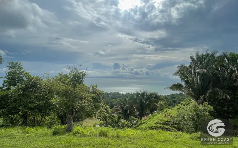 Flat Building Lot Near Pavones Surf | 15 Mins to Beach with Utilities — view 9, Pavones, Golfito, Costa Rica
