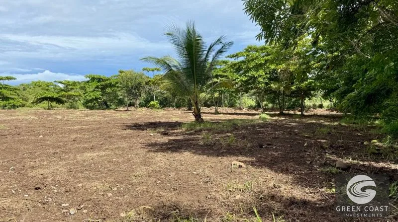 Prime 1-Hectare Commercial Development Lot Near Pavones Surf — view 2, San José, Costa Rica