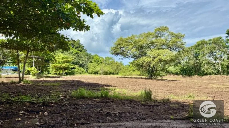 Prime 1-Hectare Commercial Development Lot Near Pavones Surf — view 3, San José, Costa Rica