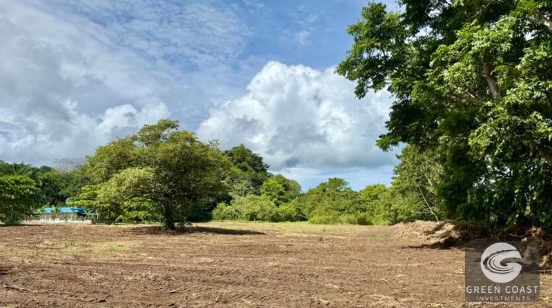 Prime 1-Hectare Commercial Development Lot Near Pavones Surf — view 5, San José, Costa Rica