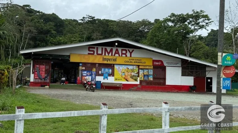 Prime 1-Hectare Commercial Development Lot Near Pavones Surf — view 6, San José, Costa Rica