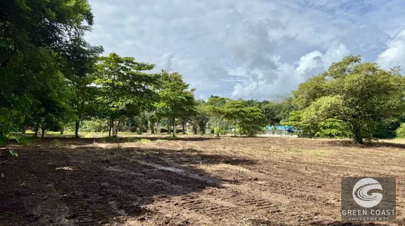 Prime 1-Hectare Commercial Development Lot Near Pavones Surf — view 8, San José, Costa Rica