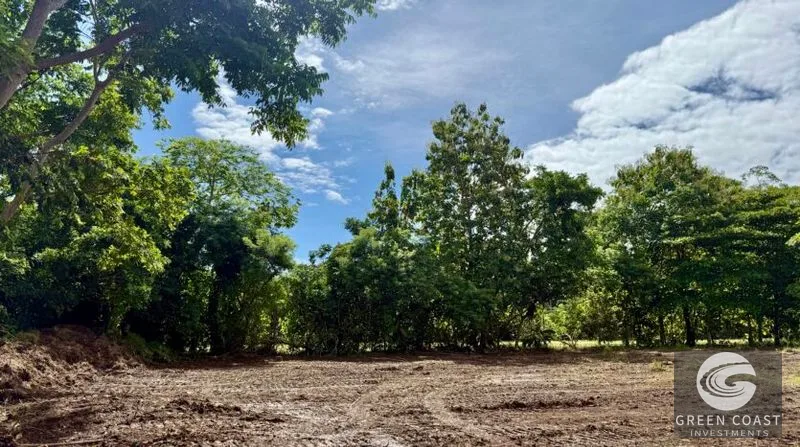 Prime 1-Hectare Commercial Development Lot Near Pavones Surf — view 9, San José, Costa Rica