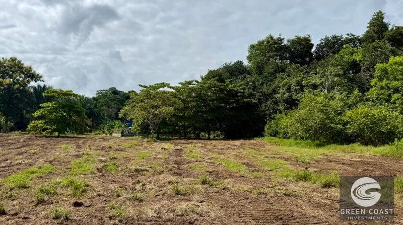 Prime 1-Hectare Commercial Development Lot Near Pavones Surf — view 11, San José, Costa Rica