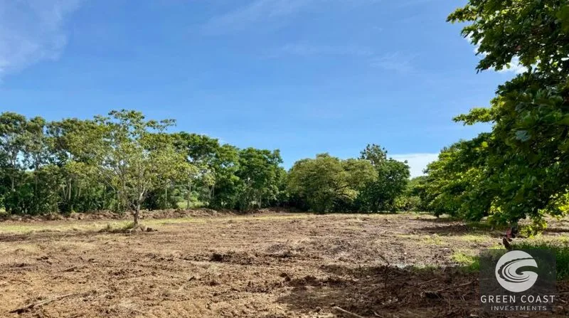 Prime 1-Hectare Commercial Development Lot Near Pavones Surf — view 12, San José, Costa Rica