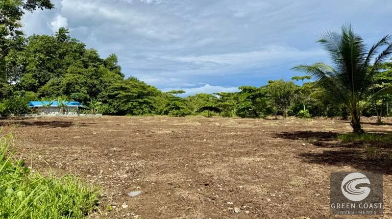 Prime 1-Hectare Commercial Development Lot Near Pavones Surf — view 13, San José, Costa Rica