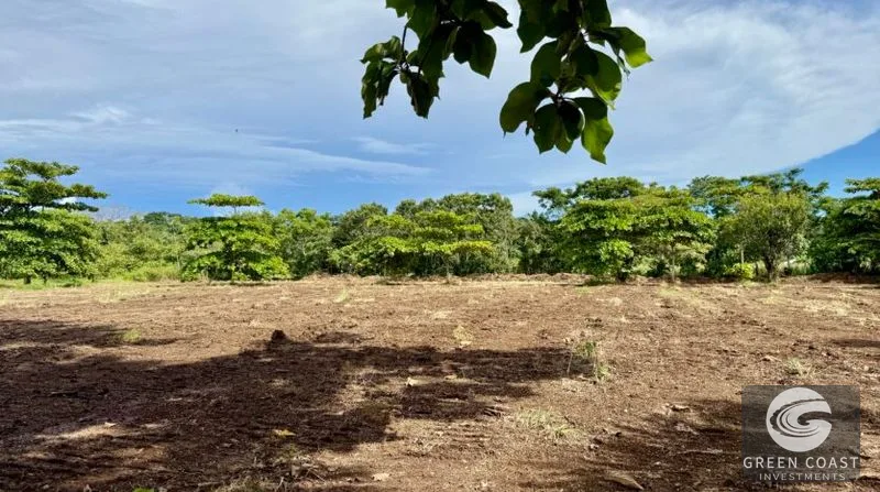 Prime 1-Hectare Commercial Development Lot Near Pavones Surf — view 14, San José, Costa Rica
