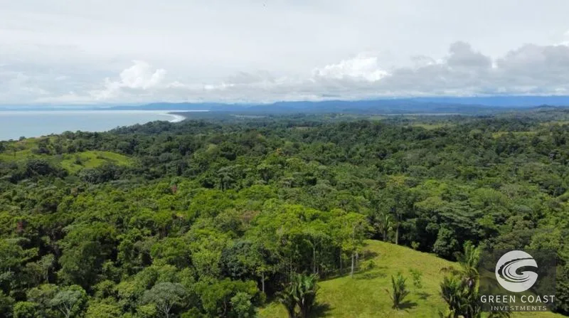 77-Acre Pavones Ocean-View Development Land Near Pilon Surf — view 1, Pavones, Golfito, Costa Rica