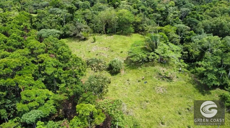 77-Acre Pavones Ocean-View Development Land Near Pilon Surf — view 5, Pavones, Golfito, Costa Rica