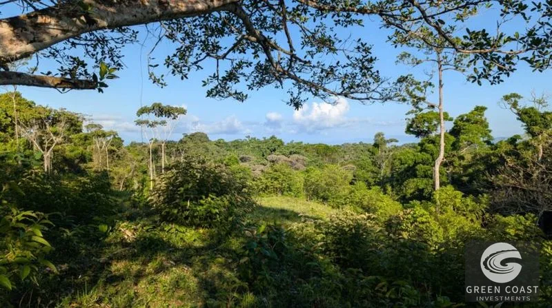 77-Acre Pavones Ocean-View Development Land Near Pilon Surf — view 6, Pavones, Golfito, Costa Rica