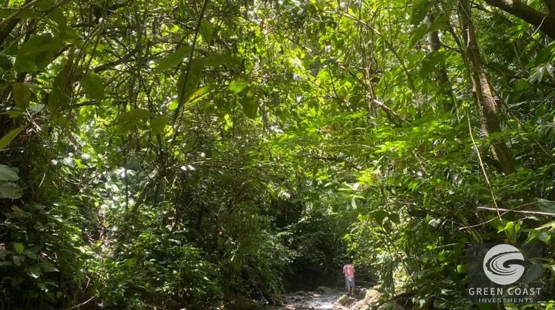 77-Acre Pavones Ocean-View Development Land Near Pilon Surf — view 8, Pavones, Golfito, Costa Rica
