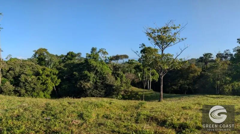77-Acre Pavones Ocean-View Development Land Near Pilon Surf — view 11, Pavones, Golfito, Costa Rica