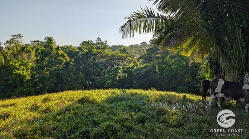 77-Acre Pavones Ocean-View Development Land Near Pilon Surf — view 12, Pavones, Golfito, Costa Rica