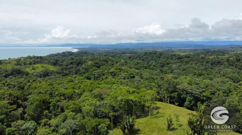 77-Acre Pavones Ocean-View Development Land Near Pilon Surf — view 13, Pavones, Golfito, Costa Rica