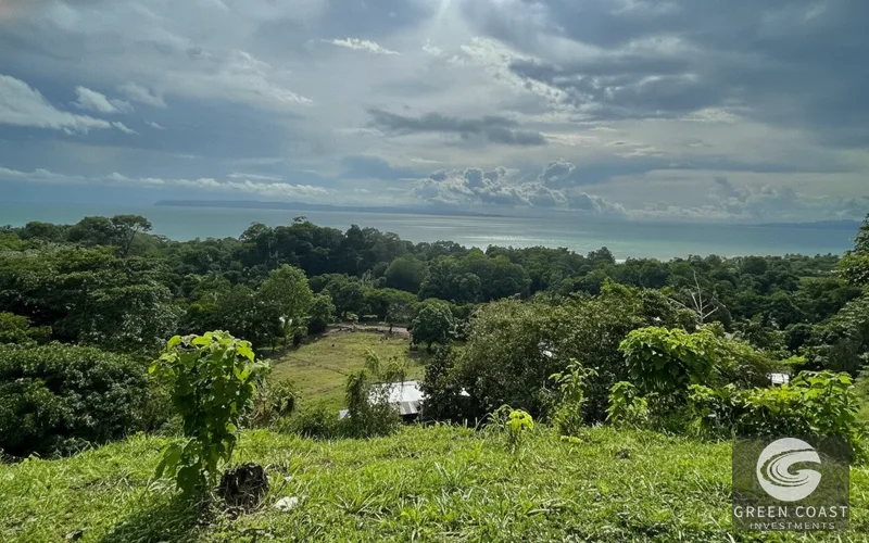 Prime 3.2-Hectare Eco-Resort Development Lot Near Pavones Surf — view 12, Pavones, Golfito, Costa Rica