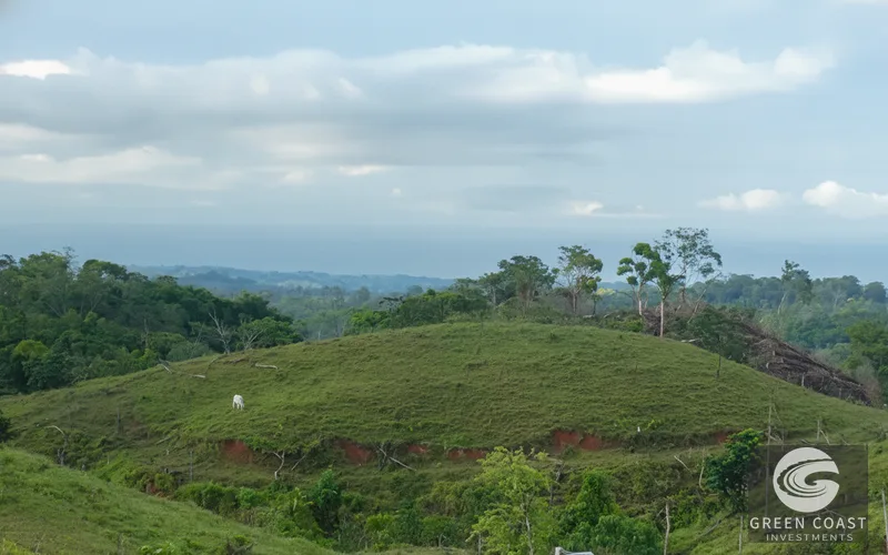 Prime 3.2-Hectare Eco-Resort Development Lot Near Pavones Surf — view 14, Pavones, Golfito, Costa Rica