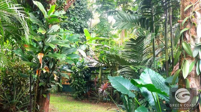 Pavones Surfside Eco-Estate: 3 Homes on 1.3 Lush Acres Near the Beach — view 9, Pavones, Golfito, Costa Rica