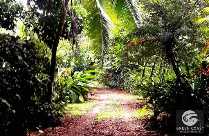 Pavones Surfside Eco-Estate: 3 Homes on 1.3 Lush Acres Near the Beach — view 10, Pavones, Golfito, Costa Rica