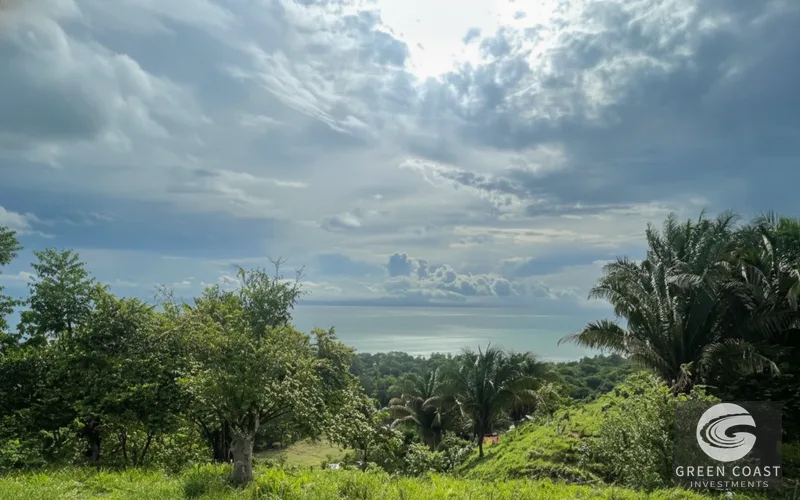 Pavones Surfside Eco-Estate: 3 Homes on 1.3 Lush Acres Near the Beach — view 14, Pavones, Golfito, Costa Rica