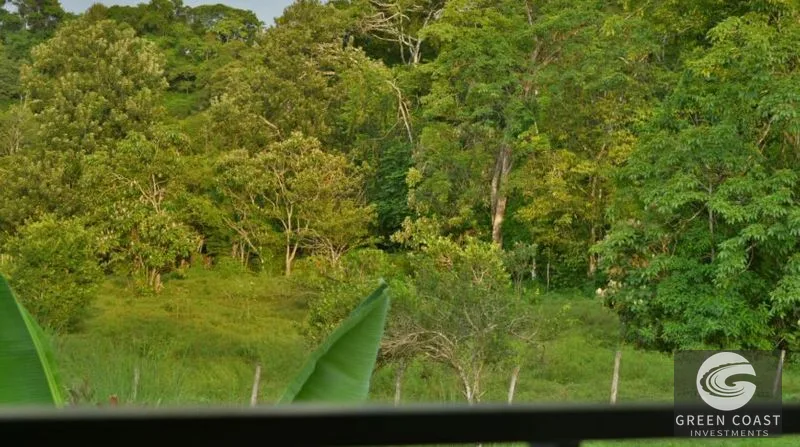 Income-Generating Pavones Duplex: Modern Oasis with Lush Fruit Gardens & Proven Airbnb Revenue — view 15, Pavones, Golfito, Costa Rica
