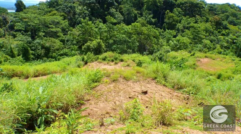 Pavones Ocean-View Development Land: 5 Acres of Prime Highlands Near World-Class Surf — view 2, Pavones, Golfito, Costa Rica