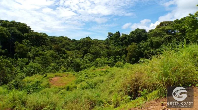 Pavones Ocean-View Development Land: 5 Acres of Prime Highlands Near World-Class Surf — view 3, Pavones, Golfito, Costa Rica