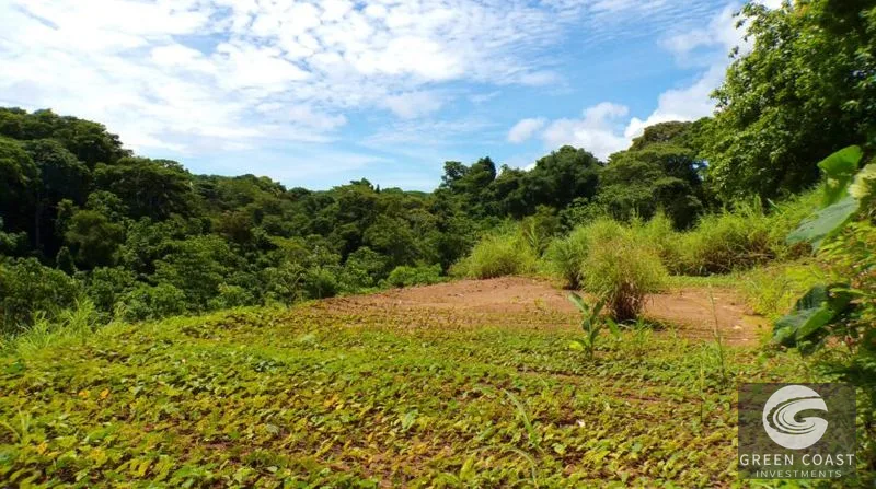 Pavones Ocean-View Development Land: 5 Acres of Prime Highlands Near World-Class Surf — view 4, Pavones, Golfito, Costa Rica