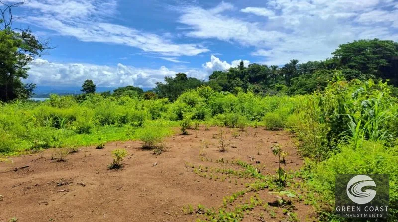 Pavones Ocean-View Development Land: 5 Acres of Prime Highlands Near World-Class Surf — view 5, Pavones, Golfito, Costa Rica